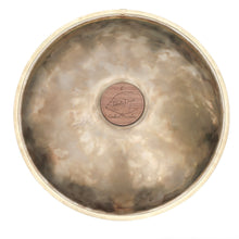 Load image into Gallery viewer, Infinity Drum Stainless E Golden Arcadia 12